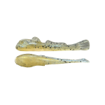 Lake Simcoe Whitefish Slam Pack II